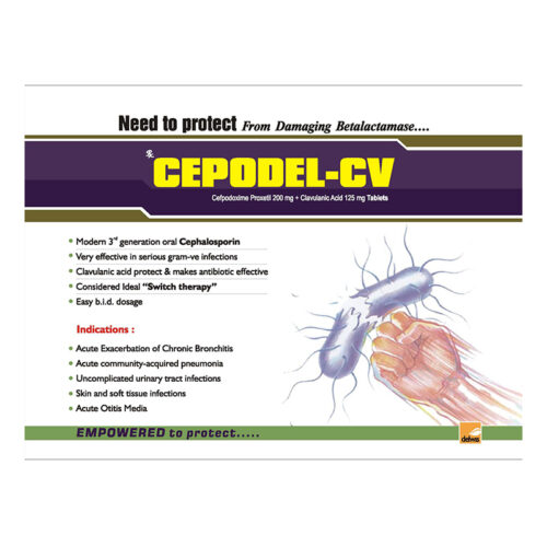 Cepodel - CV