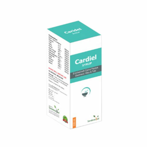 Caridel Syrup